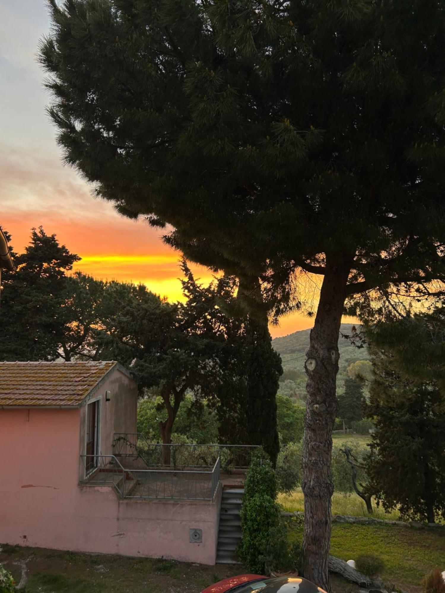 B&B Villa Il Poggetto 벤투리나 외부 사진