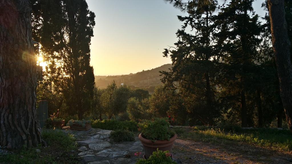 B&B Villa Il Poggetto 벤투리나 외부 사진