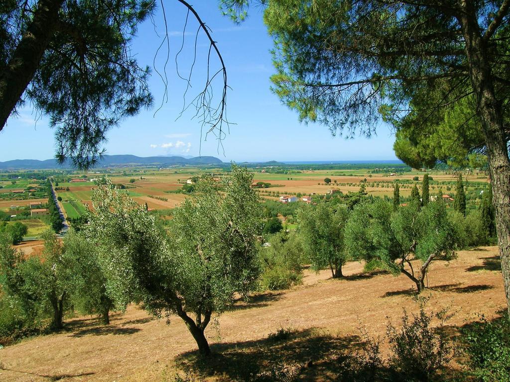 B&B Villa Il Poggetto 벤투리나 외부 사진